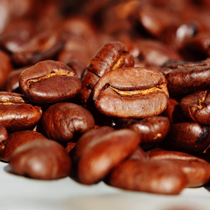 Enzo Honduras - Økologisk Kaffe - 