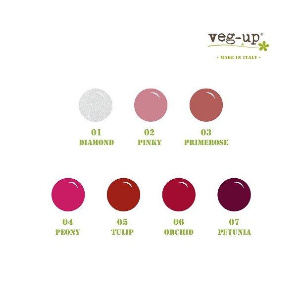 Veg-Up Lipgloss - Pinky 02 - 