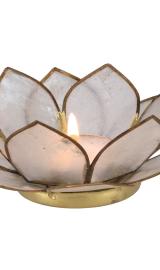 Lotus Lysestage - Creme