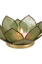 Lotus Lysestage - Olivengrøn