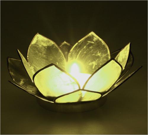 Lotus Lysestage - Olivengrøn - 