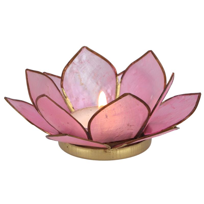 Lotus Lysestage - Pink - 