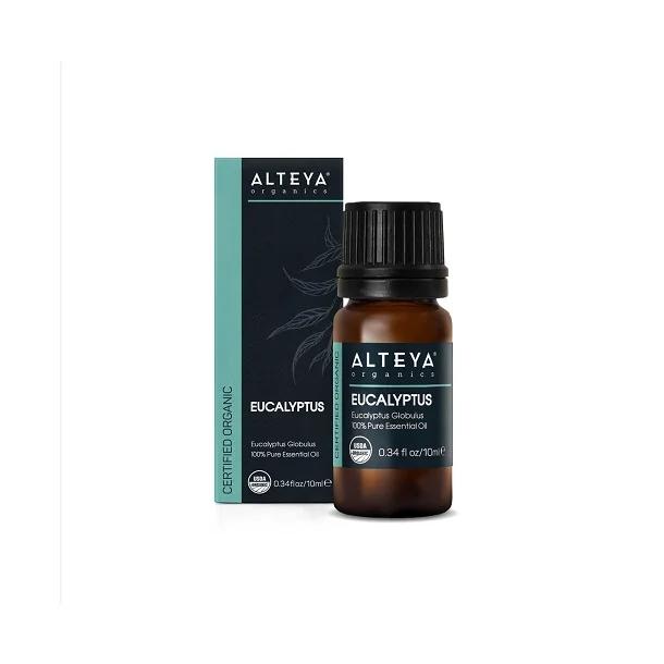 Eucalyptusolie Økologisk - 