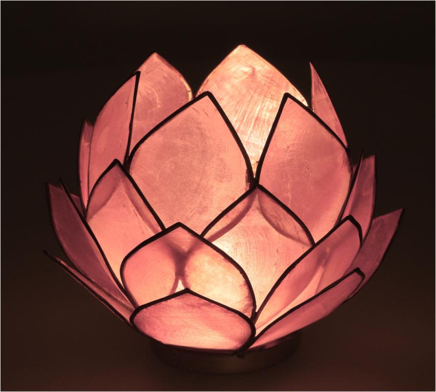 Lotus Lysestage Stor - Rosa - 