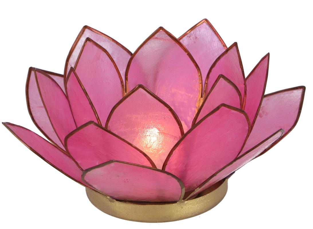 Lotus Lysestage - Pink - 