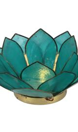 Lotus Lysestage - Turkis