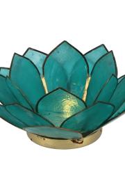 Lotus Lysestage - Turkis