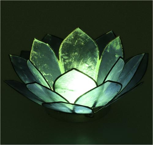 Lotus Lysestage - Turkis - 
