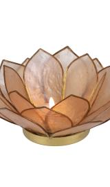 Lotus Lysestage - Sand