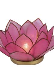 Lotus Lysestage - Pink