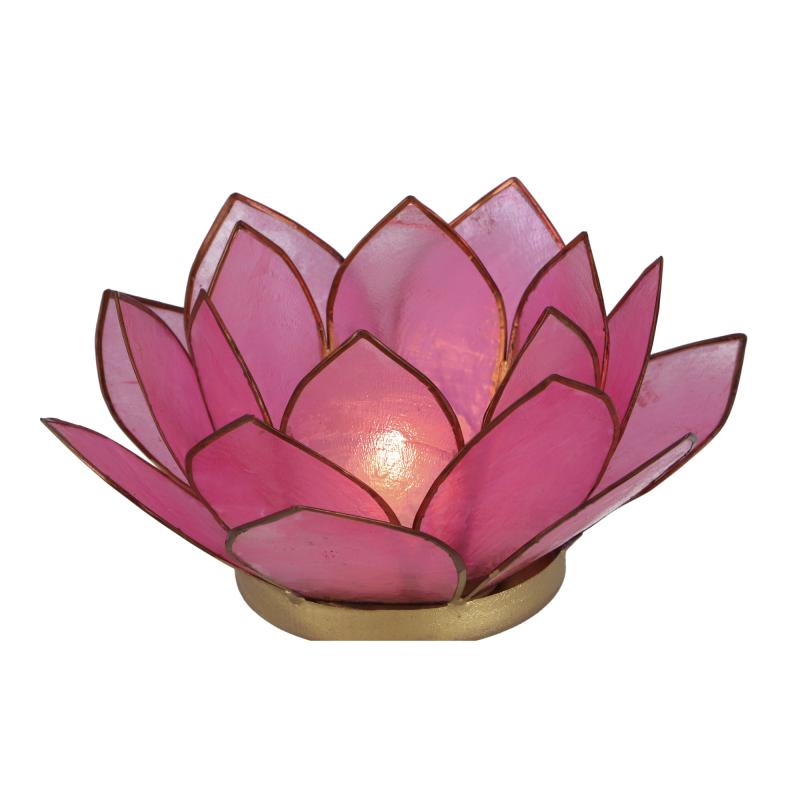 Lotus Lysestage - Pink - 