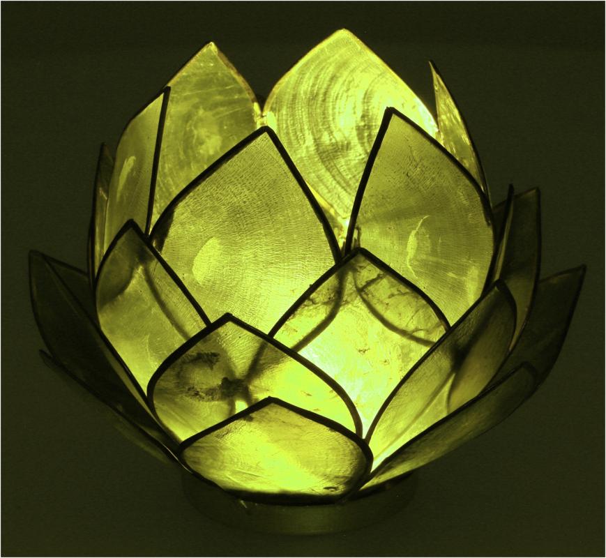 Lotus Lysestage Stor - Grøn - 