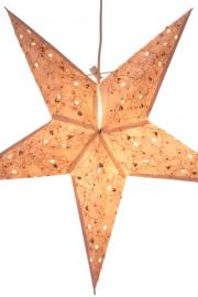 Papirstjerne Platon Natur