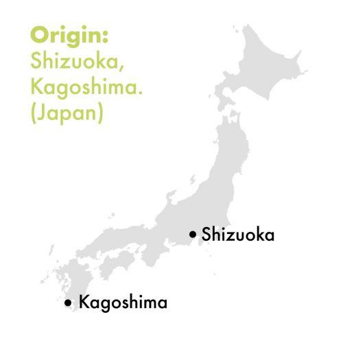 Japansk Matcha - Ceremonial Øko - 